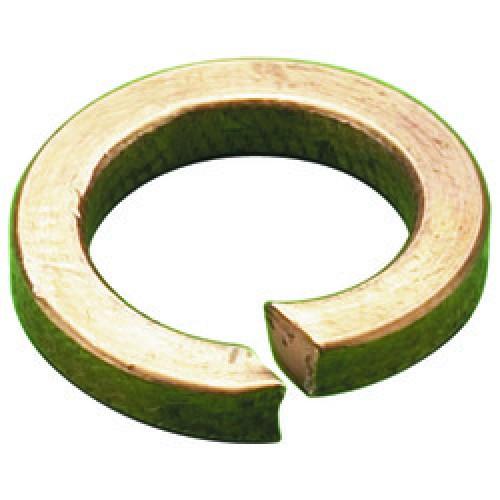 M10     SPRING WASHER  PHOSPHOR BRONZE