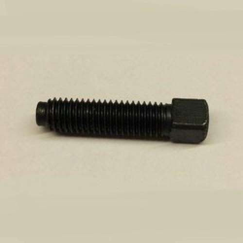 1/2 BSW x 2     SQU HEAD  DOG POINT SCREW